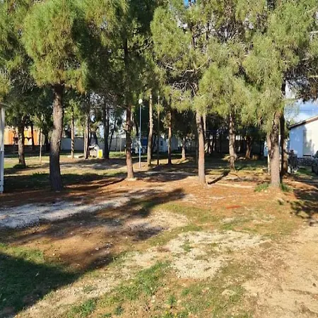 Dalmatino Pleasure - House Camp Dalmacija Hébergement de vacances Privlaka (Zadar)